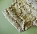 Informelles Beispiel von Cruziana, erzeugt von Trilobiten