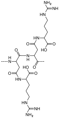 Struktur von Cyanophycin