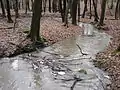 Nachwirkungen von Regen und Sturm