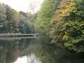 Delftse Hout im Herbst