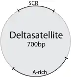 …und von Deltasatellite