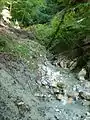 Im oberen Teil des Kroisbachgrabens