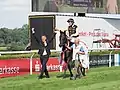 Diamanta nach dem Rennen mit Trainer Markus KLug und Jockey Maxim Pecheur