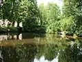 Mühlenweiher der Dilborner Mühle