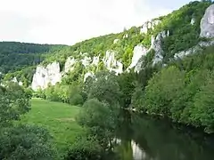 Bild 8:Lebensraum Mittelgebirge