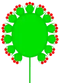 Doppelkörbchen