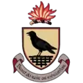 Wappen und Flagge der Grafschaft Dublin