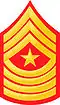 SgtMaj