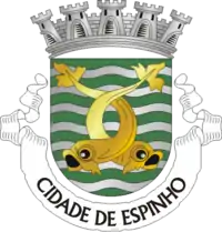 Wappen von Espinho