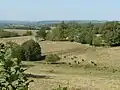 Landschaft bei Écuras