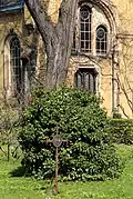 Ehrengrab auf einem Friedhof