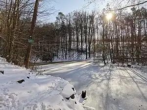 See im Winter