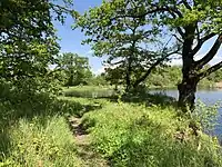 Auf der Insel Alsen