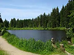 Eisweiher bei Titisee(Juni&nbsp;2014)