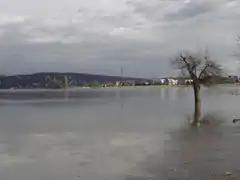 Gleicher Standort bei mittlerem Hochwasser (Pegelstand ca. 7,10&nbsp;m)