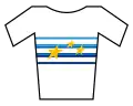 Meistertrikot der Senioren