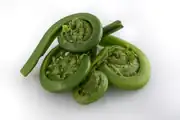 junge Farnspitzen (Fiddlehead) (z.&nbsp;B. Straußenfarn, Königsfarn, Perlfarn, Wald-Frauenfarn sowie Stenochlaena palustris, Pteridium aquilinum, Osmunda japonica,  Matteuccia struthiopteris)