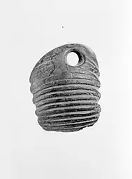Durchlochter Trilobit