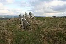 Five Wells