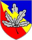 Internes Verbandsabzeichen