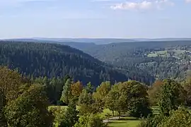 Der Taleinschnitt in die Buntsandsteinhochfläche bei Freudenstadt