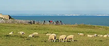 Sicht auf die White Cliffs of Dover vom Cap Gris-Nez