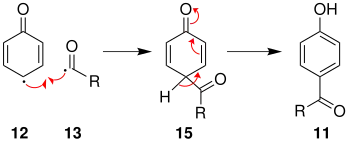Mechanismus 3 der Photo-Fries-Umlagerung über Radikale