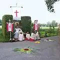 Sterne aus Blättern der Schwertlilie mit Pfingstrosen