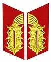 Kragenspiegel der Generale der Nationalen Volksarmee