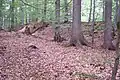 Innerer Wall