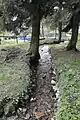 Der Bach Gabelwasser vor der Einmündung in die Truse