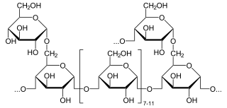 Glykogen (kurze Seitenkette)
