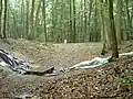 Erdbrücke beim südlichen Eingang, im Vordergrund aktueller Grabungsschnitt (9/2004)
