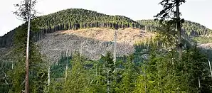 Kahlschlag im Gordon River Valley nahe Port Renfrew