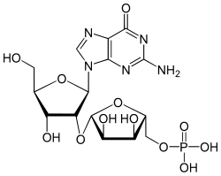 Strukturformel von 2′-O-Ribosylguanosinphosphat