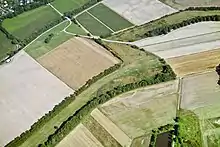 Grünes Band zwischen Thüringen und Bayern (2003)