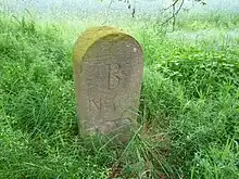 Grenzstein im Calvörder Forst