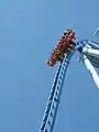 Griffon beim First Drop
