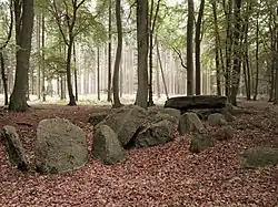 Großsteingrab Haaren 2