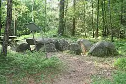 Großsteingrab Steden 2