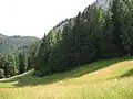 Großwiese