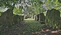 Großsteingrab Lengerich-Wechte I
