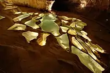 Sinterbecken der Höhle von Saint-Marcel