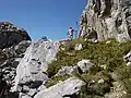 Gruobenpass, Übergang nordöstlich der Scheienfluh