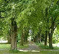 Blick in den Park des Guts Herrlehof