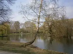 Der Obersee am Südufer vom Hönower Weg aus