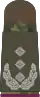 Feldanzug Oberst ABC-Abwehrtruppe (Aufschiebeschlaufen, oliv, weiße Dienstgradabzeichen)