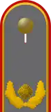 Dienstgradabzeichen eines Brigadegenerals auf dem Schulterstück der Jacke des Dienstanzuges für Heeresuniformträger