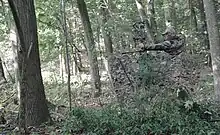 Verspiegelter Ansitzschirm für die Bogenjagd