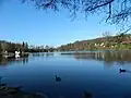 Südufer des Hariksee (Januar 2016)